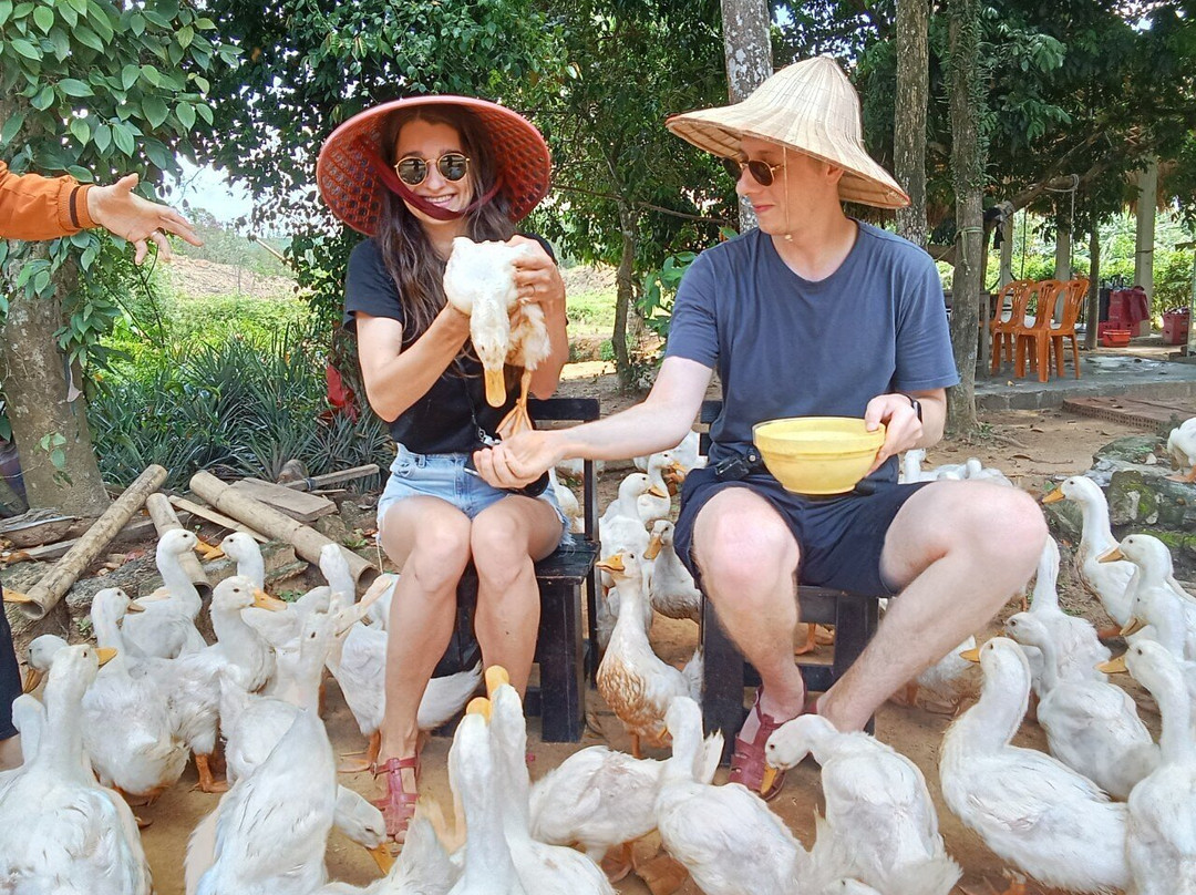 Indochine Junk-卡巴必去景点