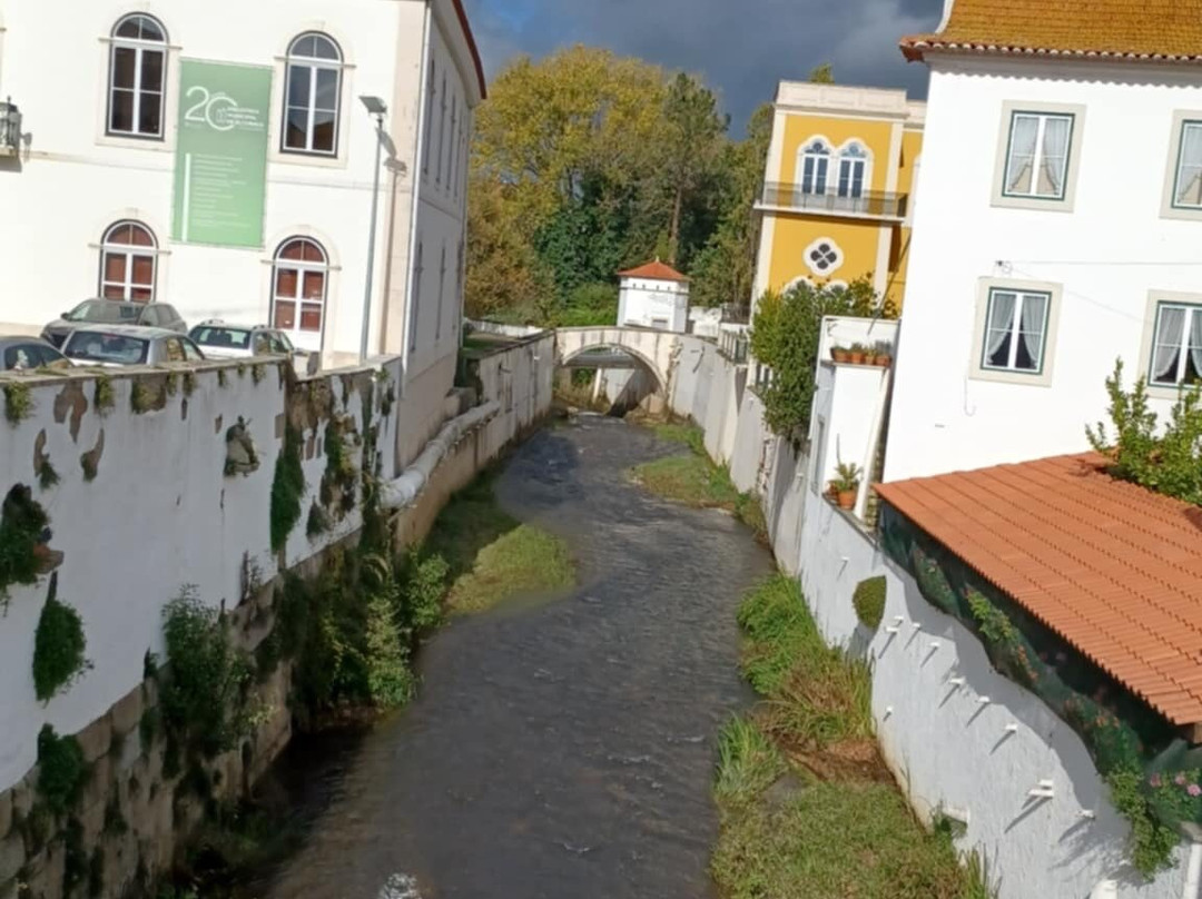 Rio Alcoa-Evora de Alcobaça必去景点