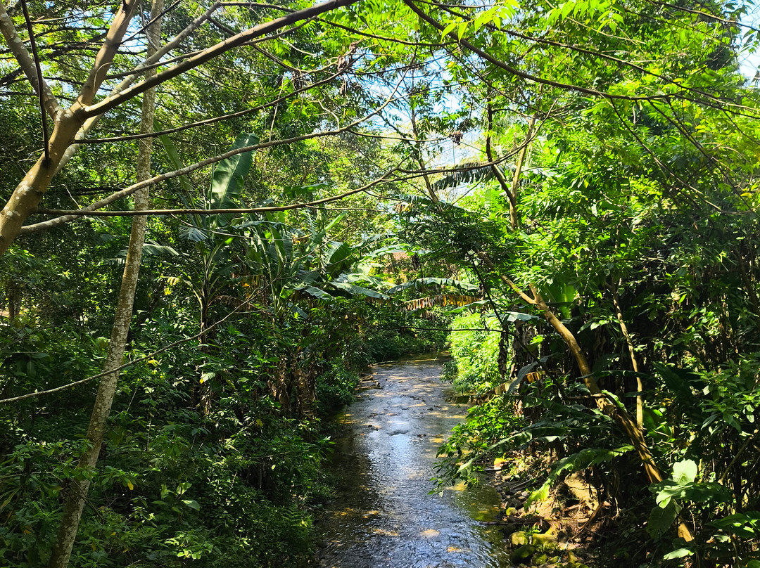 MaresiasTur - Receptivo & Ecoturismo-Maresias必去景点