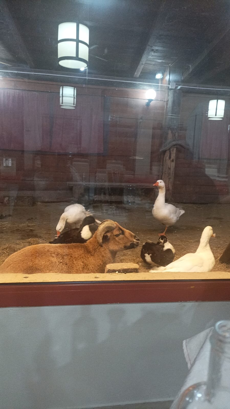 Tenuta Del Vecchio Mulino-官方