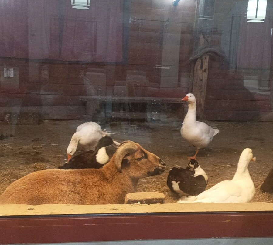 Tenuta Del Vecchio Mulino主图