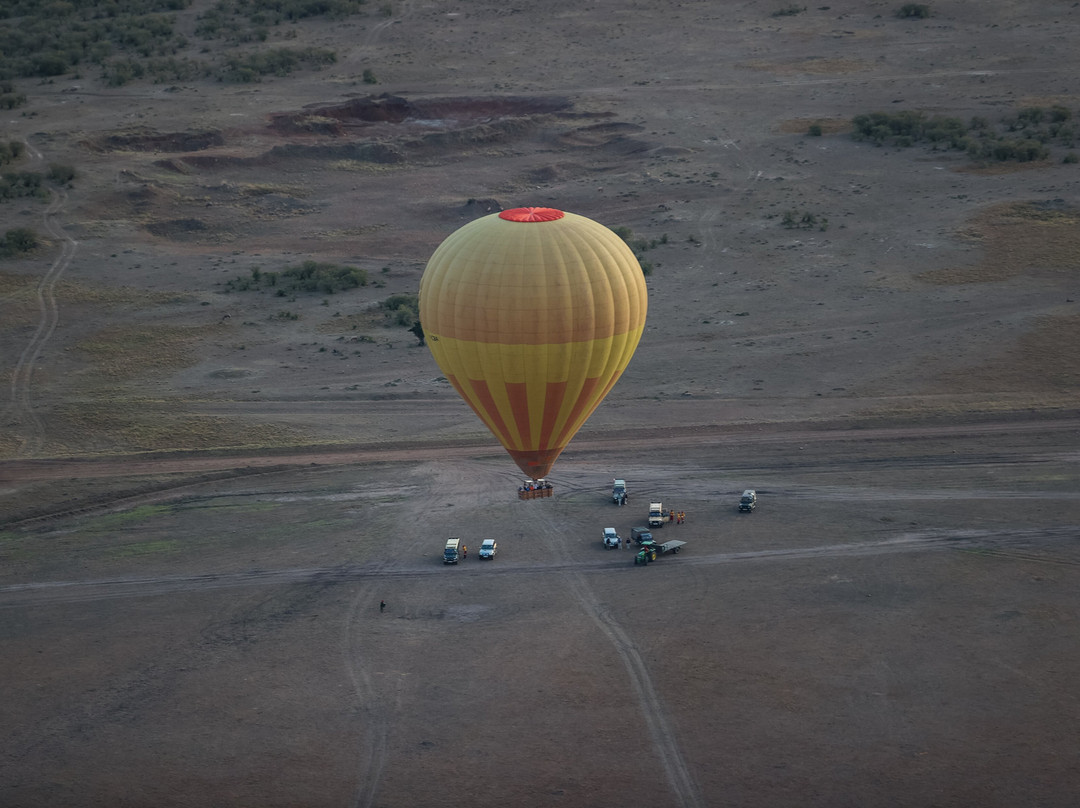 Top Africa Safaris-迪亚尼必去景点