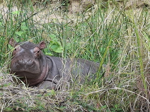 Speke Holidays-坎帕拉必去景点