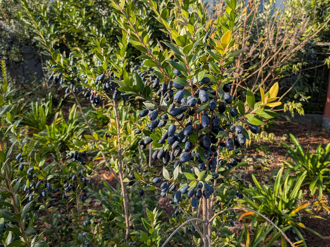 Dimora Cottanera主图