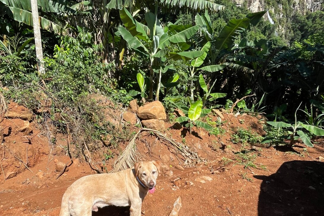 Cachoeira do Funil-Praia Grande必去景点