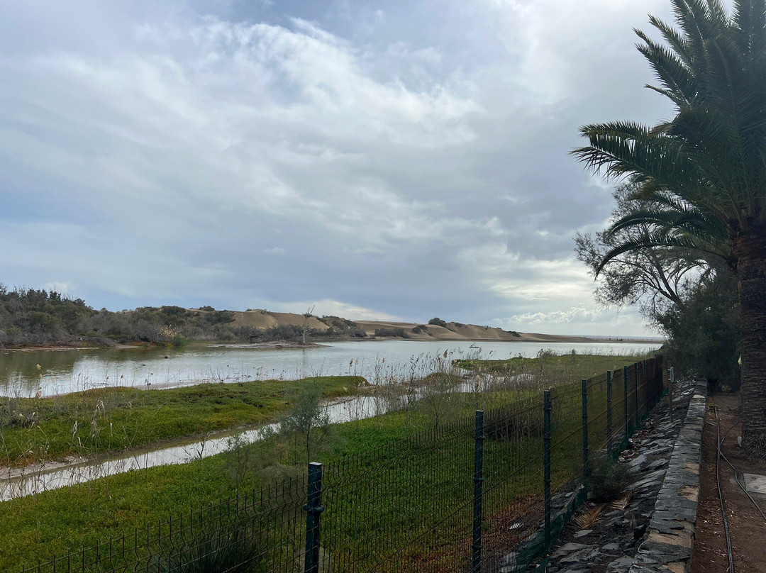 La Charca-马斯帕洛马斯必去景点