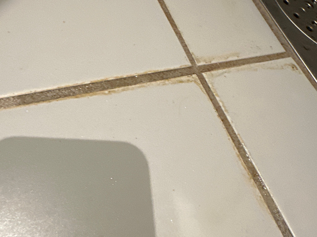 戴尔罗格酒店主图