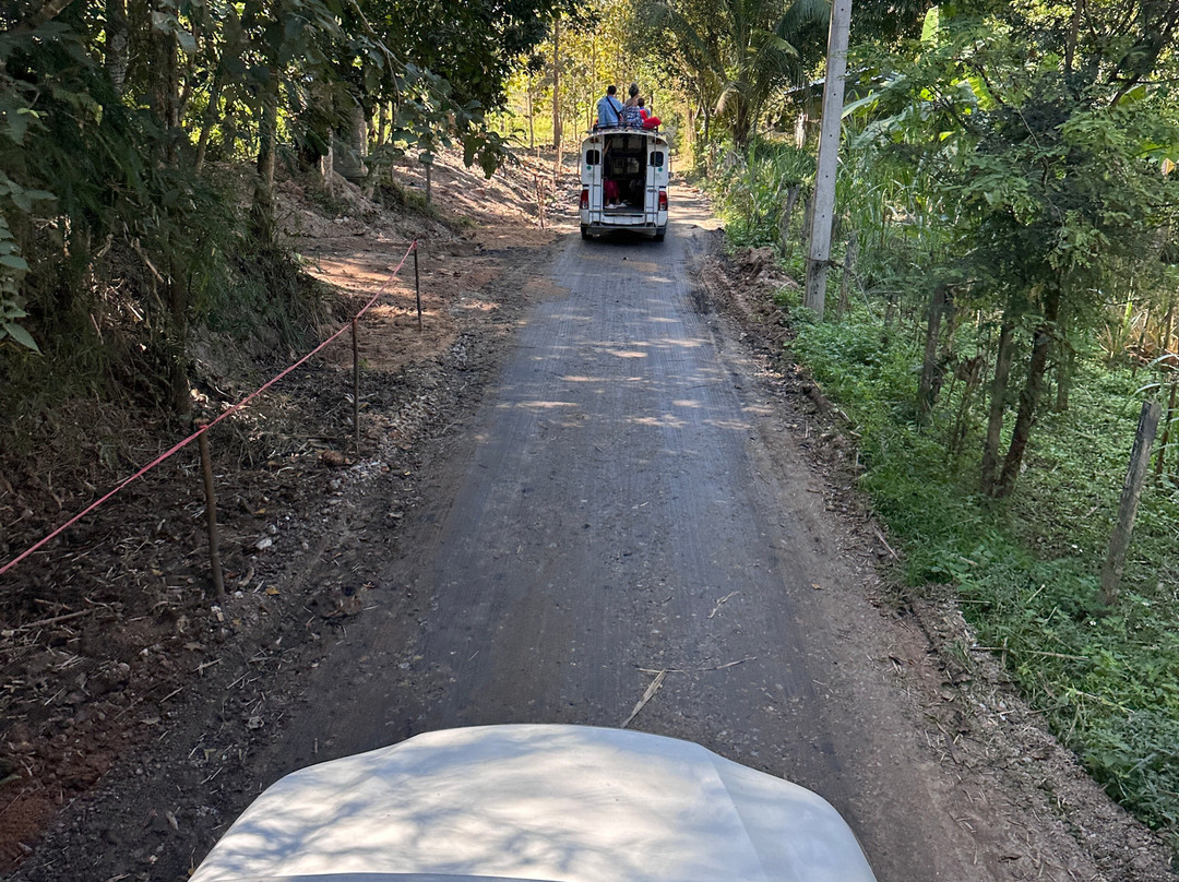 Maerim Elephant Sanctuary-夜林必去景点