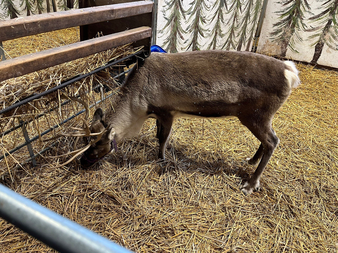Windmill Farm Park-Kibworth Harcourt必去景点