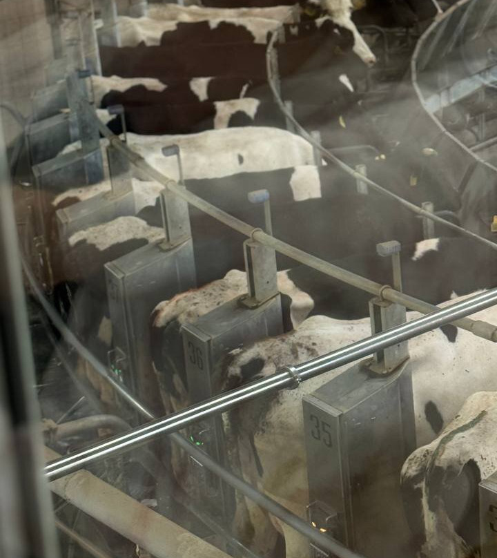 Dairy Farm EkoNiva-Burtsevo必去景点