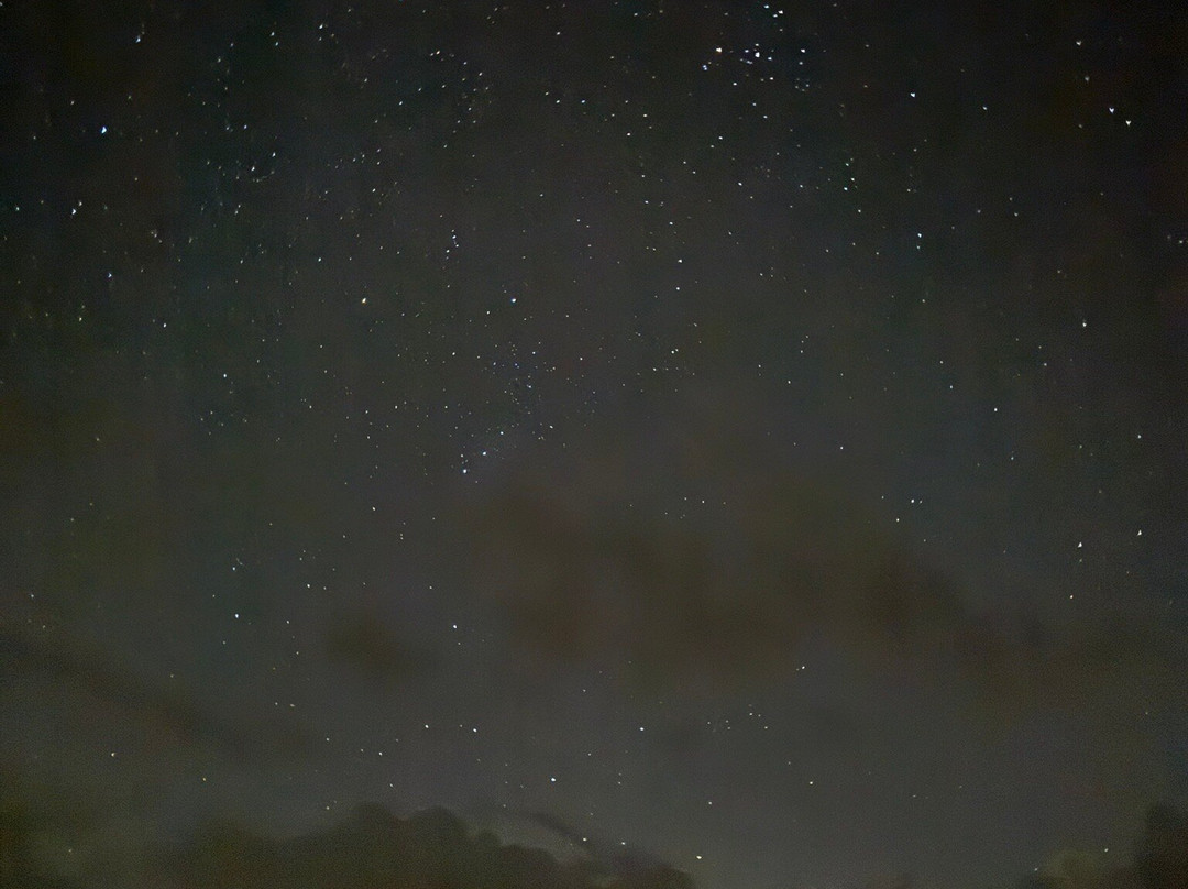 Grizedale Observatory-安布赛德必去景点