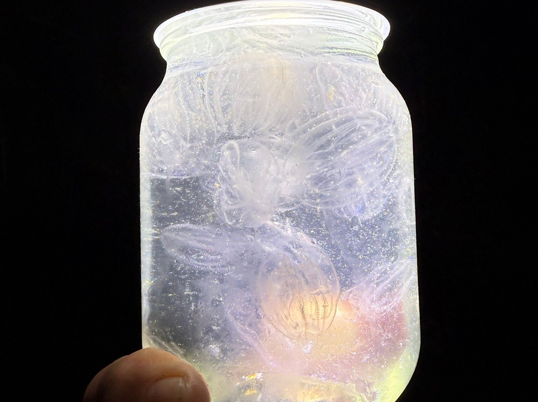 Cocoa Beach Kayaking-可可海滩必去景点