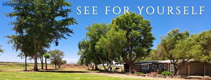 Koha Guesthouse主图