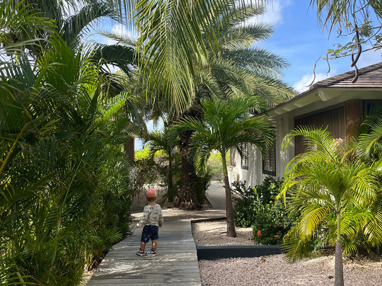 Windhoek Boutique Resort Bonaire主图