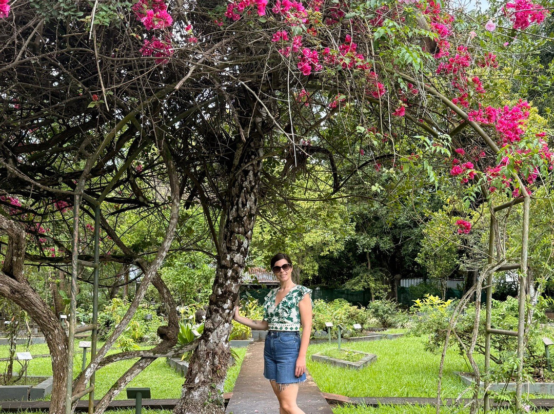 Sir Seewoosagur Ramgoolam Botanical Garden-庞波慕斯必去景点