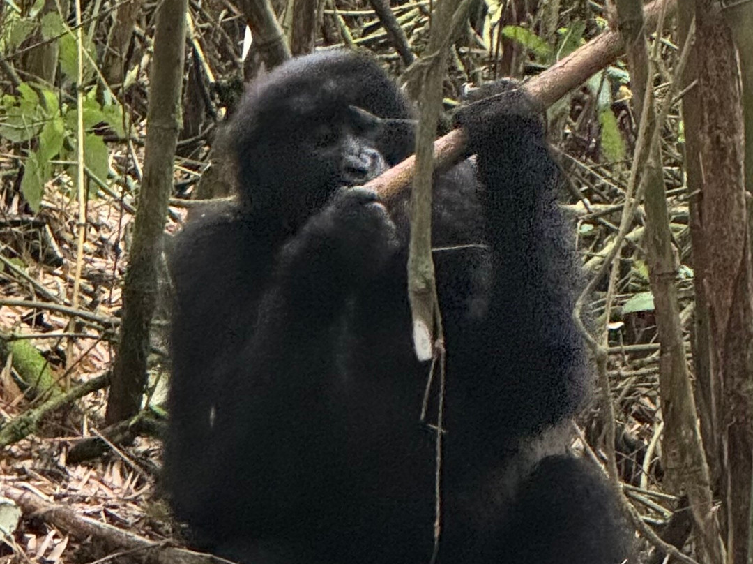 Pride Adventure-吉佳利必去景点