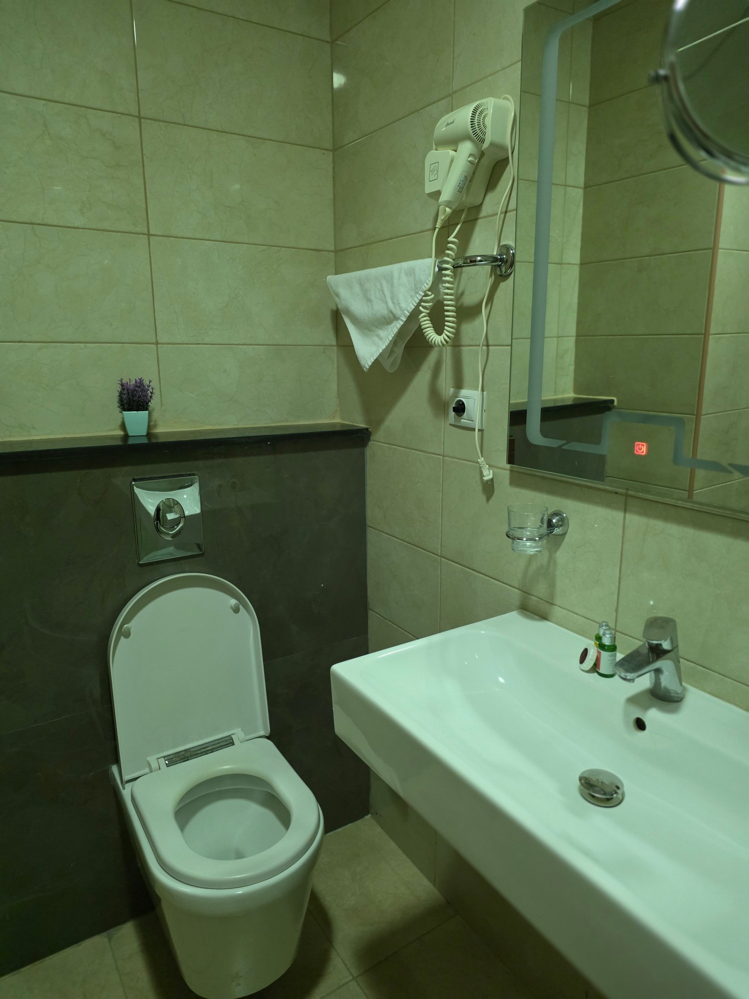 Victoria Hotel-浴室