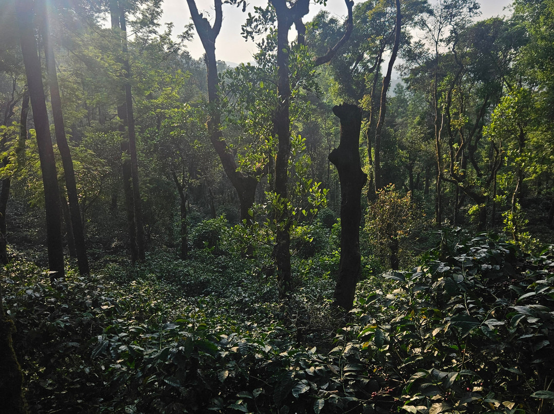 Woodway Homestay主图