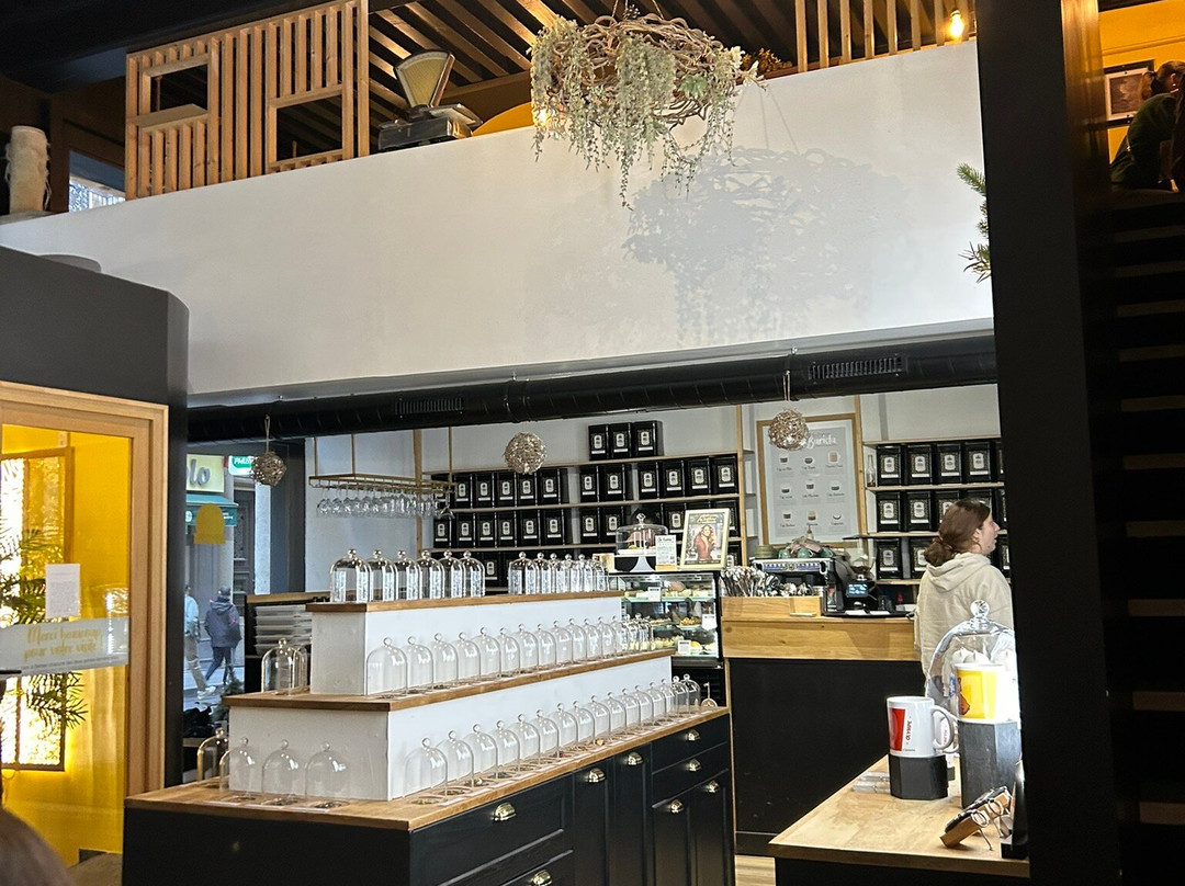 Le GentleCat - Bar à Chats - Restaurant-里昂必去景点