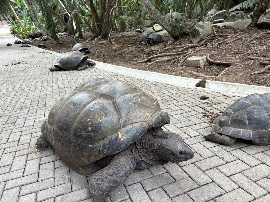Cap Lazare Nature Reserve-贝拉扎尔区必去景点