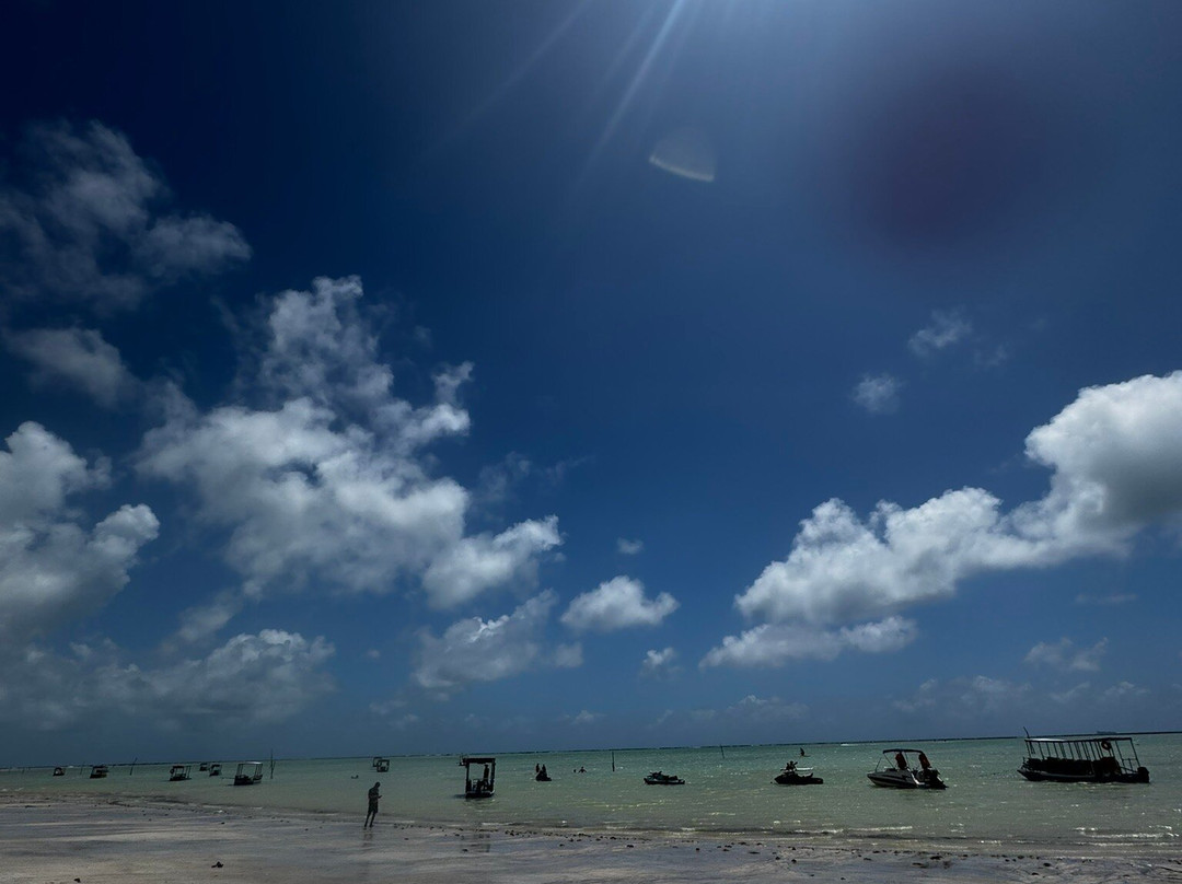 Japaratinga Visit Tur-Japaratinga必去景点