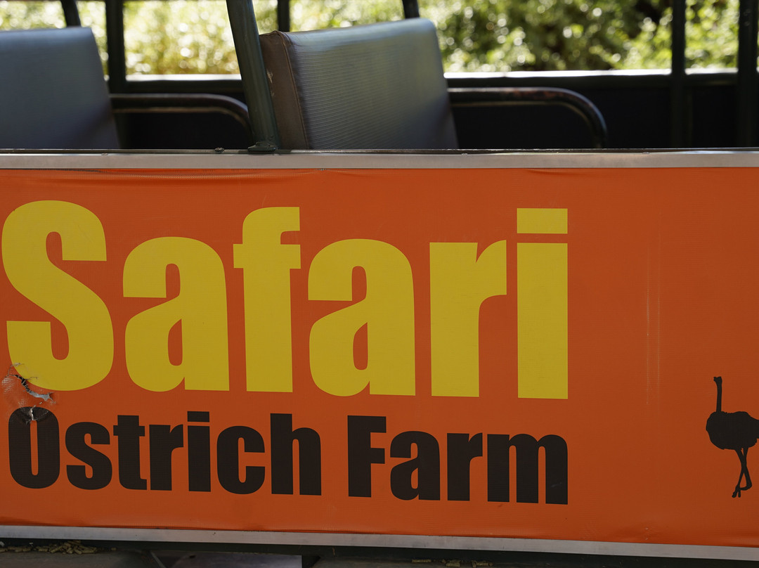 Safari Ostrich Farm-奥兹洪必去景点