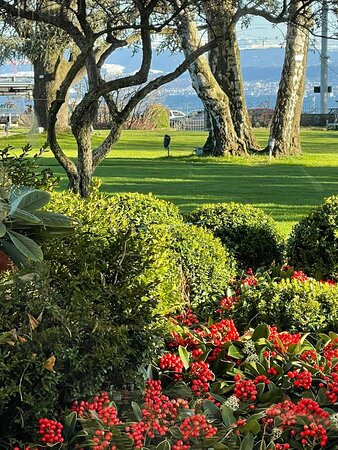 巴尔拉克酒店主图