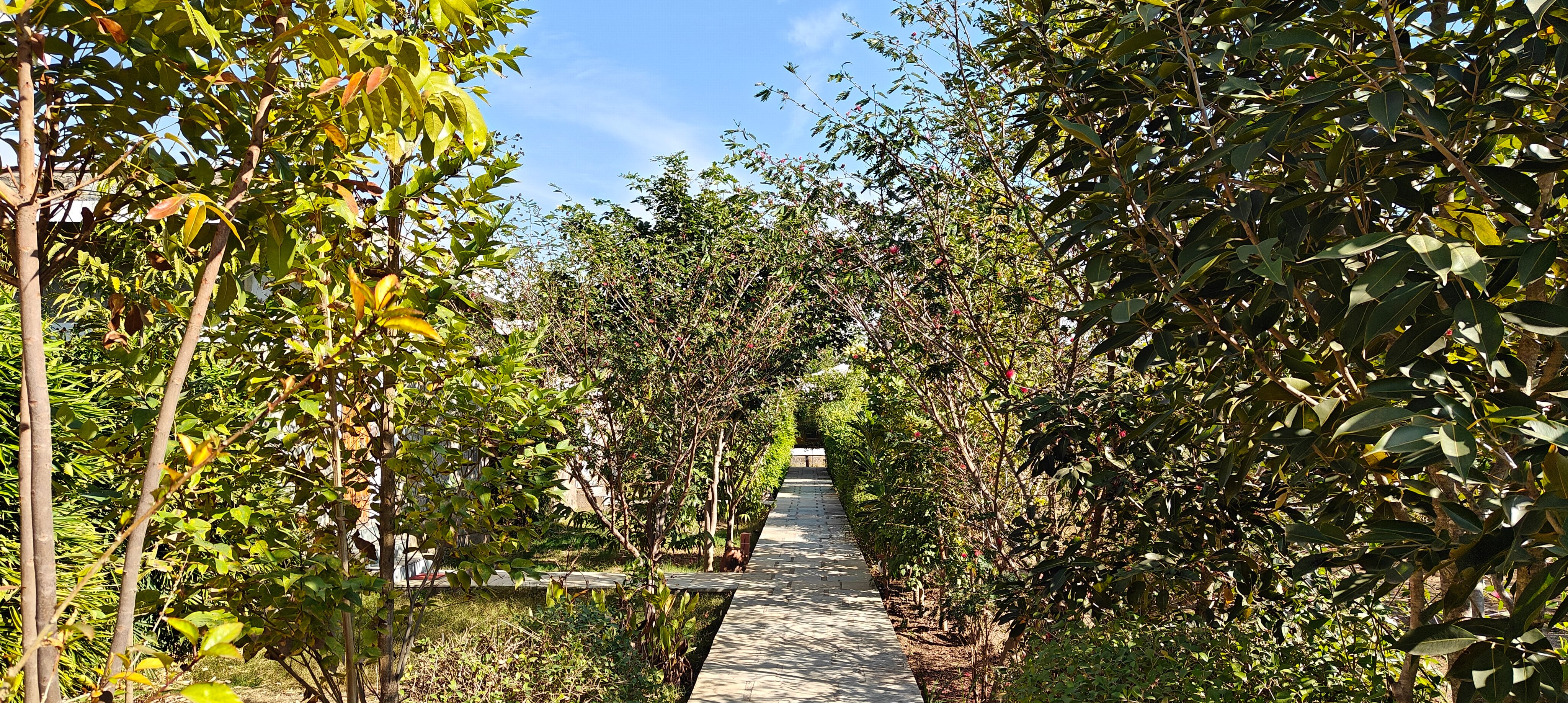 Kutani Bagh Sariska-官方