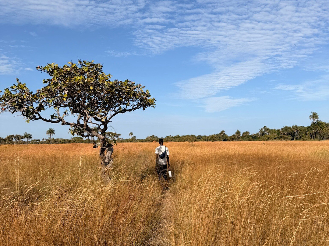 Terre Kassoumay-Oussouye必去景点