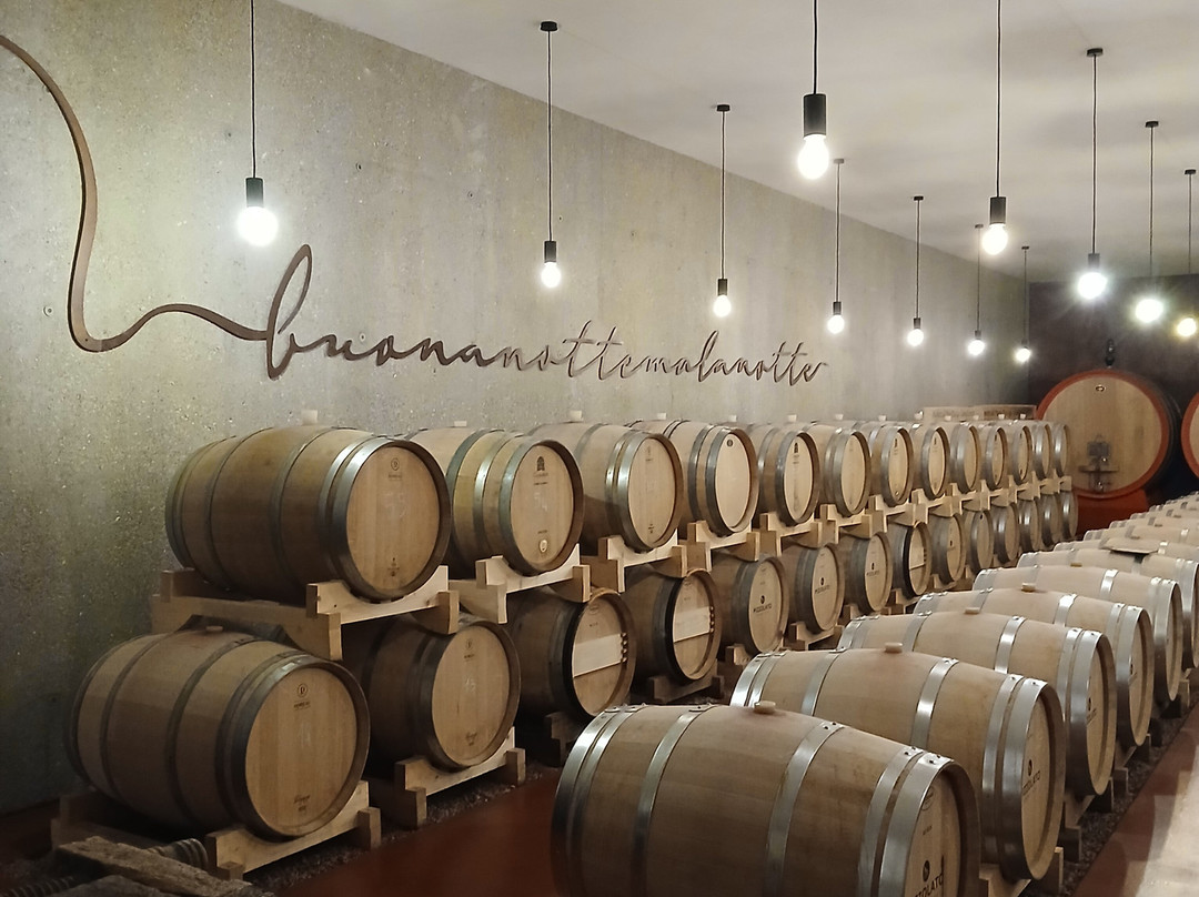 Cantina Pizzolato Società Benefit - Organic Wine Experience-维洛尔巴必去景点