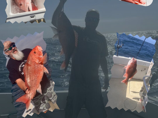 Getaway Charters-橙色海湾必去景点