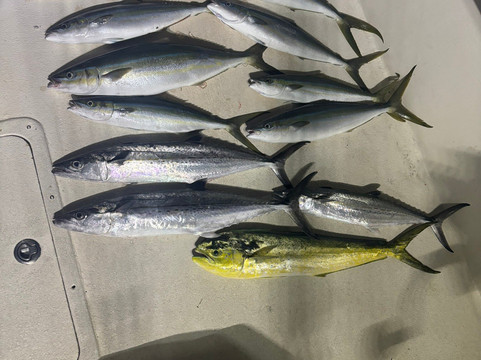 Neptune Adventures-圣 托马斯必去景点