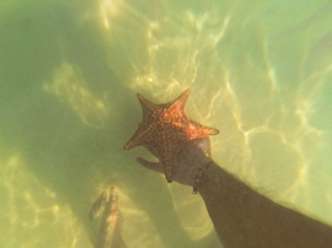 Anchor Tours-西湾必去景点