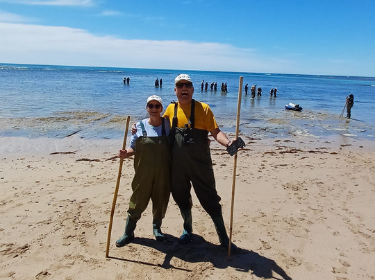 Dive Tatapouri-Gisborne Region必去景点