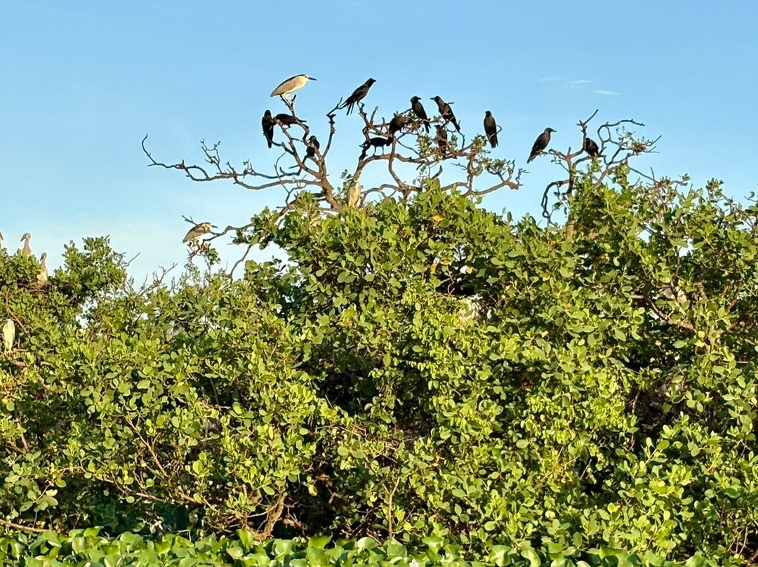 Wildlife Wonders Sri Lanka-唐卡拉必去景点