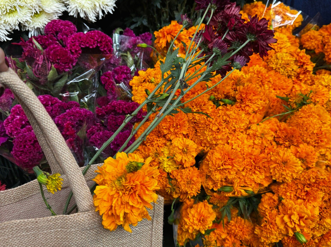 Mercado Ignacio Ramirez-圣米格尔护城必去景点