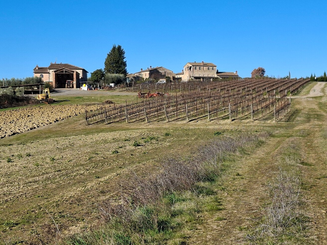 Agriturismo Melariano主图