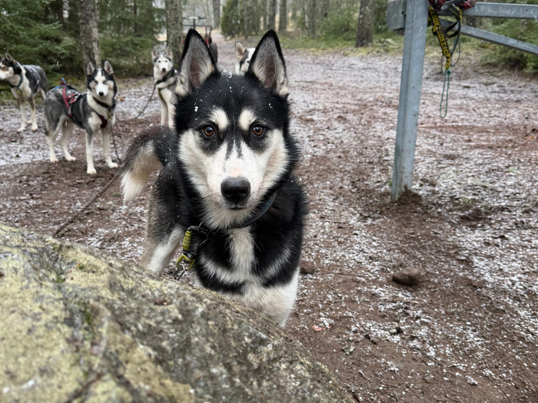 Arctic Expedition-埃斯波必去景点