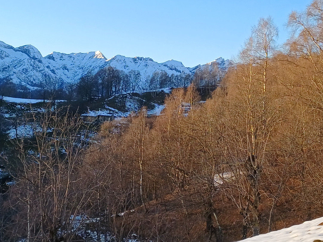 Strada Statale 232 Panoramica Zegna-Trivero必去景点