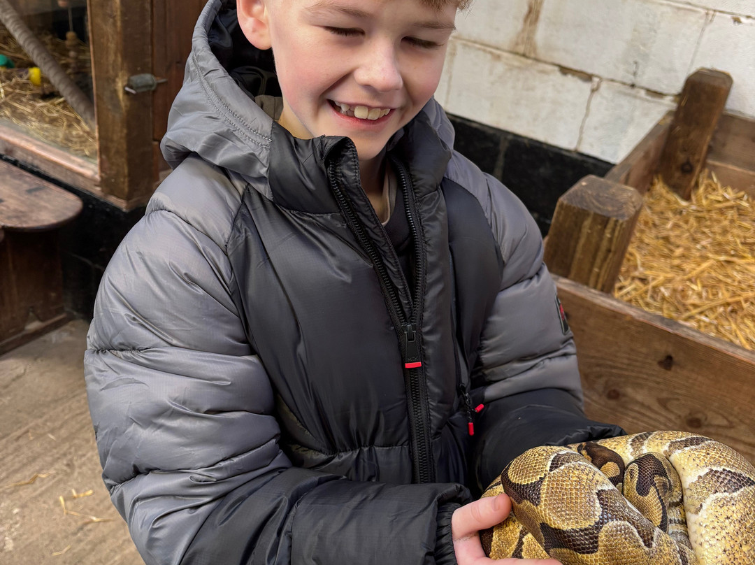 Big Sheep & Little Cow-Bedale必去景点