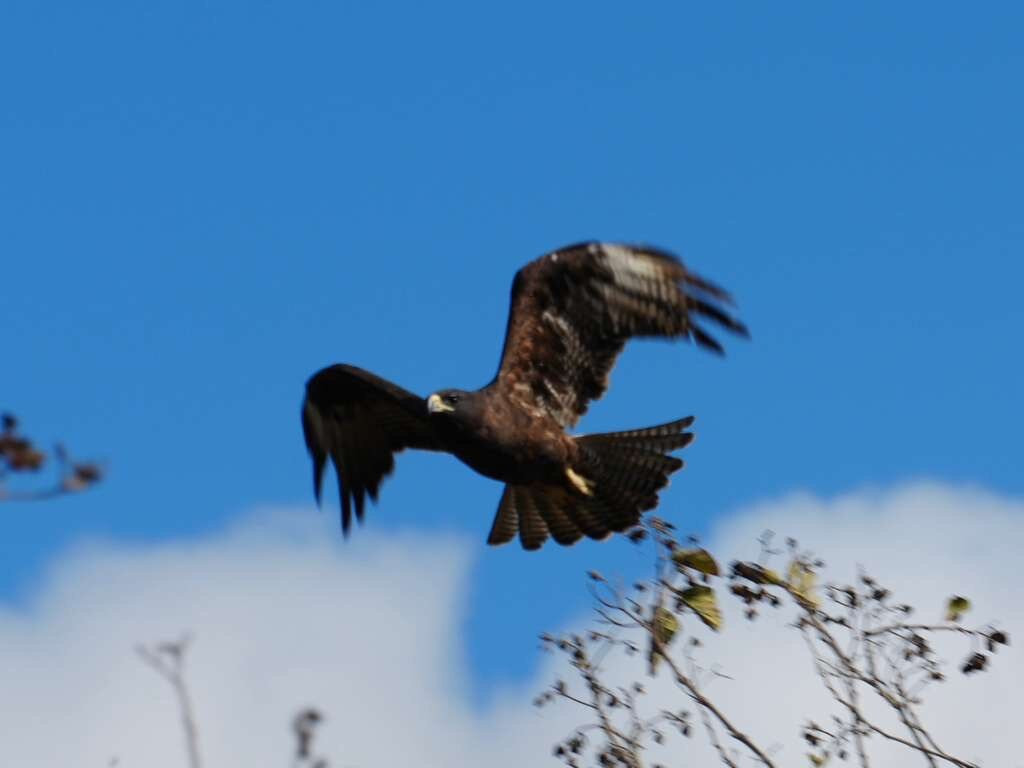 Fragata Yacht-Baltra必去景点