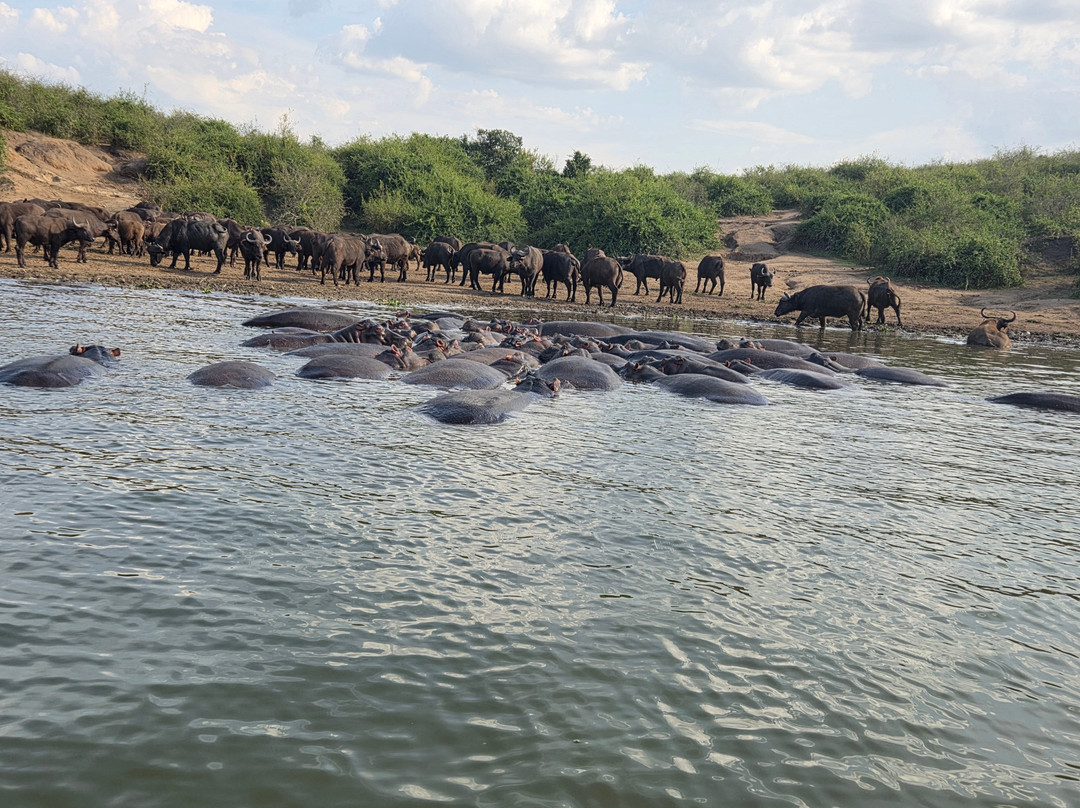 Kazinga Channel-伊丽莎白女王国家公园必去景点
