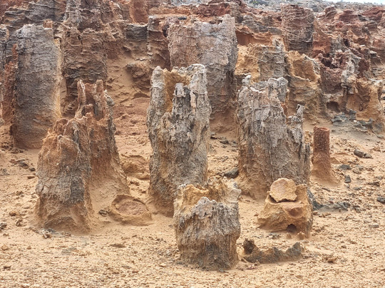 Petrified Forest and Blowholes-Cape Bridgewater必去景点