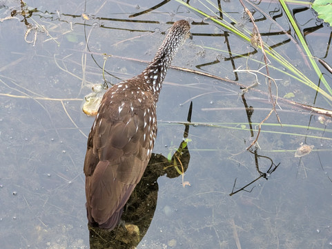 Mexico Kan Tours-图伦必去景点