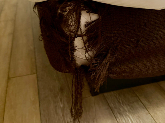 圣罗莎贝斯特韦斯特酒店主图