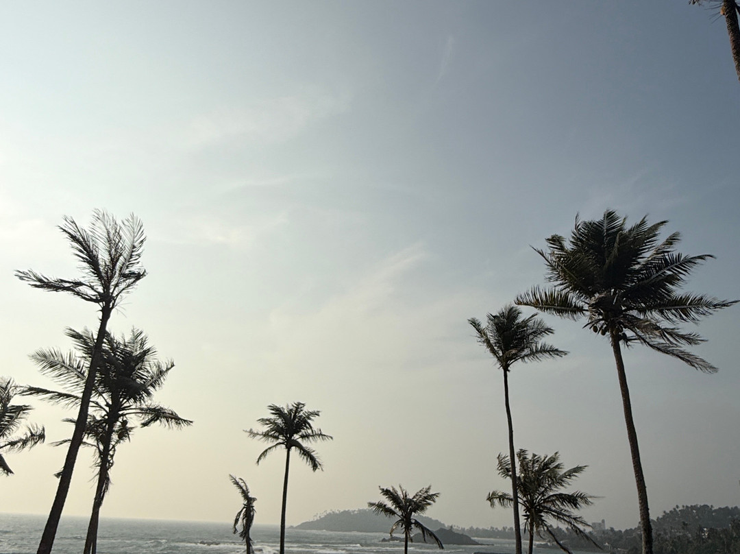 Explore Lanka Tours By Sahan-佩拉德尼亚必去景点