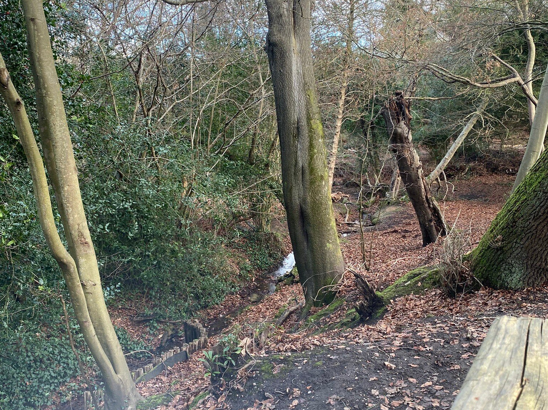 Keston Common-Keston必去景点