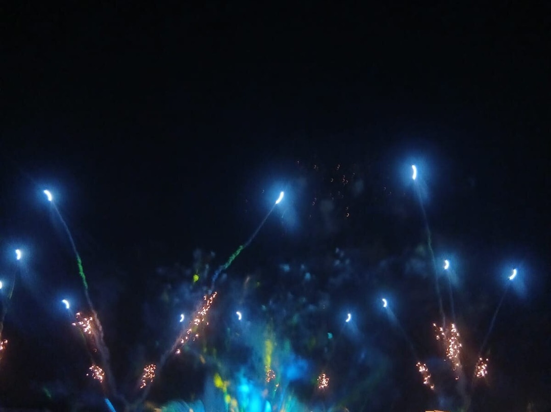 Luminous: The Symphony of Us-Bay Lake必去景点