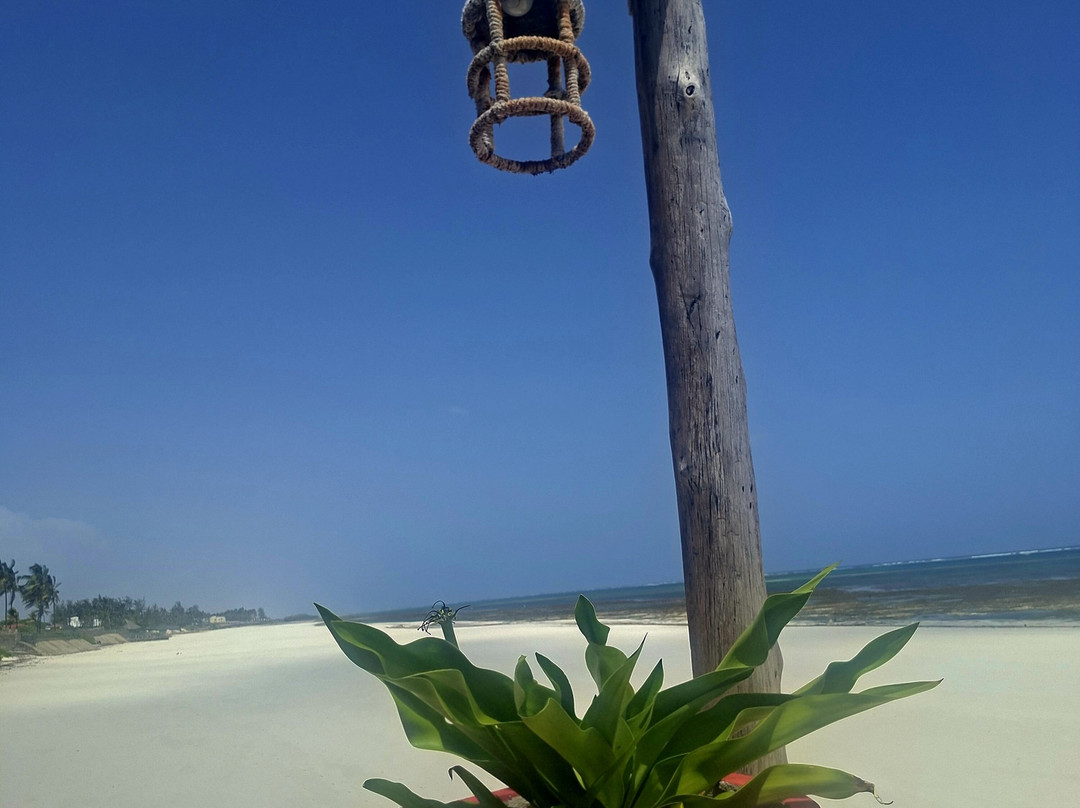 Starluck Travel Limited-内罗毕必去景点