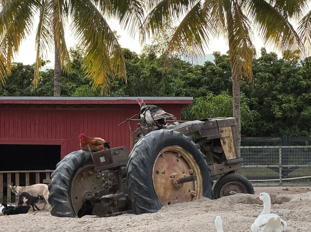 Robert Is Here-霍姆斯特德必去景点